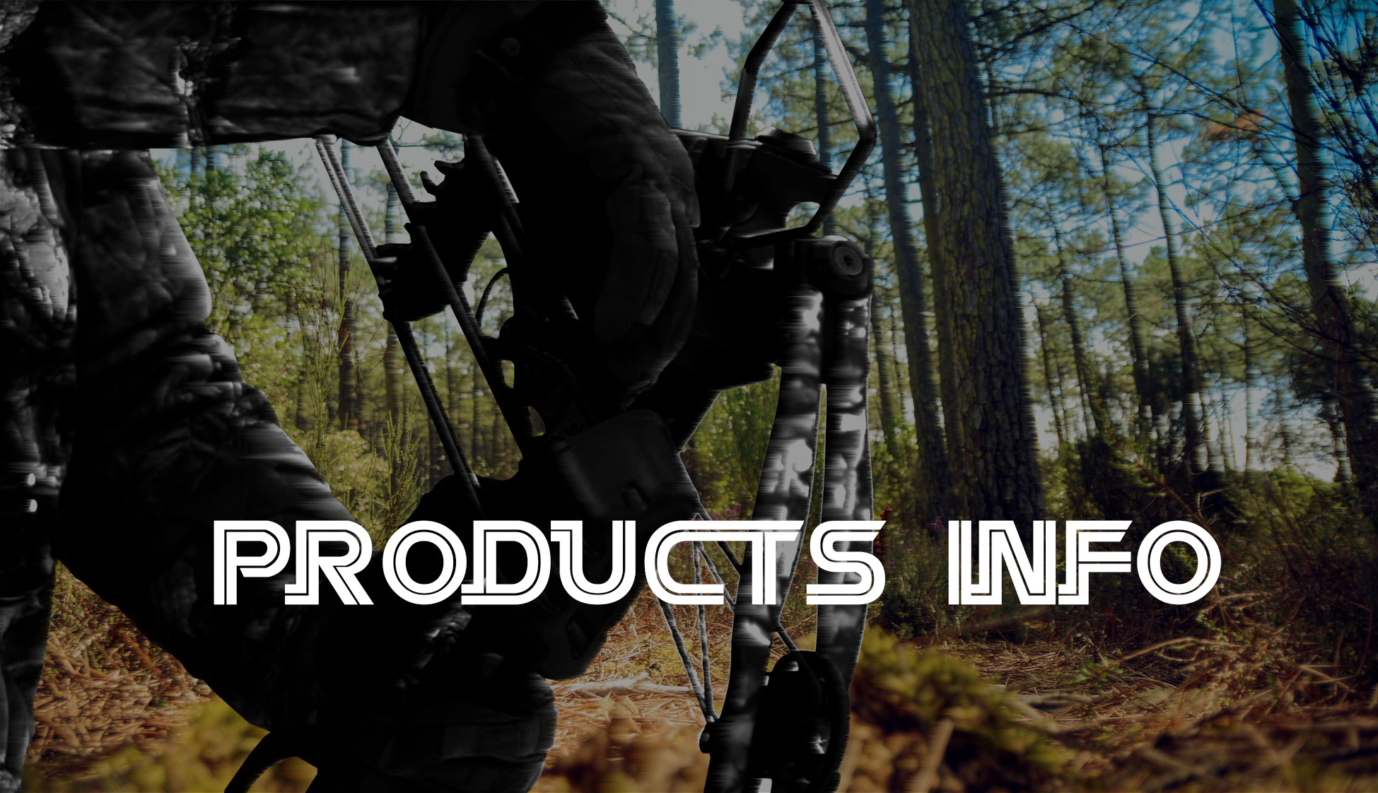 Products INTRODUCTION